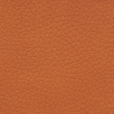 Svanen - 3320